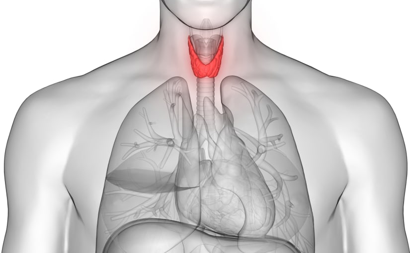 Thyroid scan image
