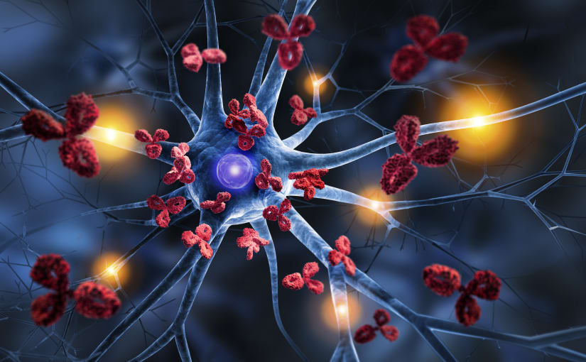 Nerve cell